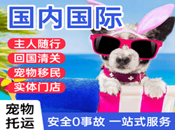 奇台江机场快运国际宠物托运 【国